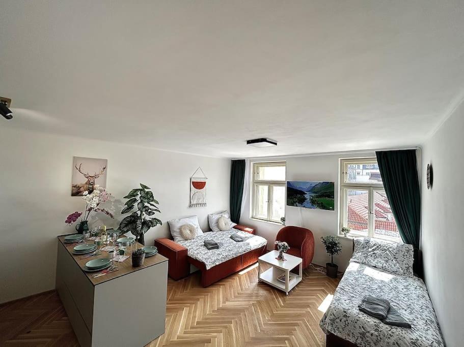 Newapt Next To Wenceslas Square Praha